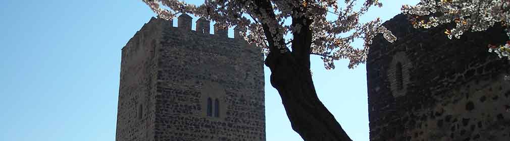 Castillo de Doña Berenguela. Bolaños de Calatrava