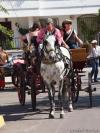 Ciudad%20Real%20Romeria%20de%20Alarcos%202011%20121.jpg