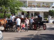 Ciudad%20Real%20Romeria%20de%20Alarcos%202011%20130.jpg