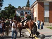 Ciudad%20Real%20Romeria%20de%20Alarcos%202011%20137.jpg