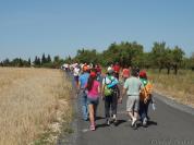 Ciudad%20Real%20Romeria%20de%20Alarcos%202011%20106.jpg