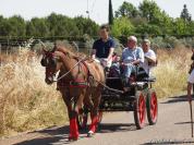 Ciudad%20Real%20Romeria%20de%20Alarcos%202011%20089.jpg