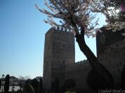 Castillo%20de%20Berenguela%2049.jpg